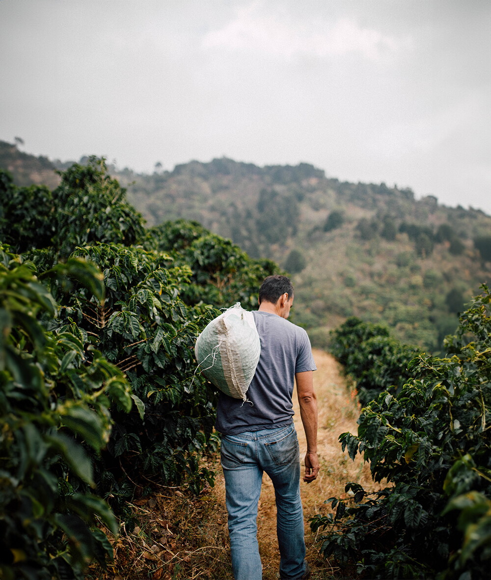 Paso Paso koffieboer Jorge Vásquez in Costa Rica