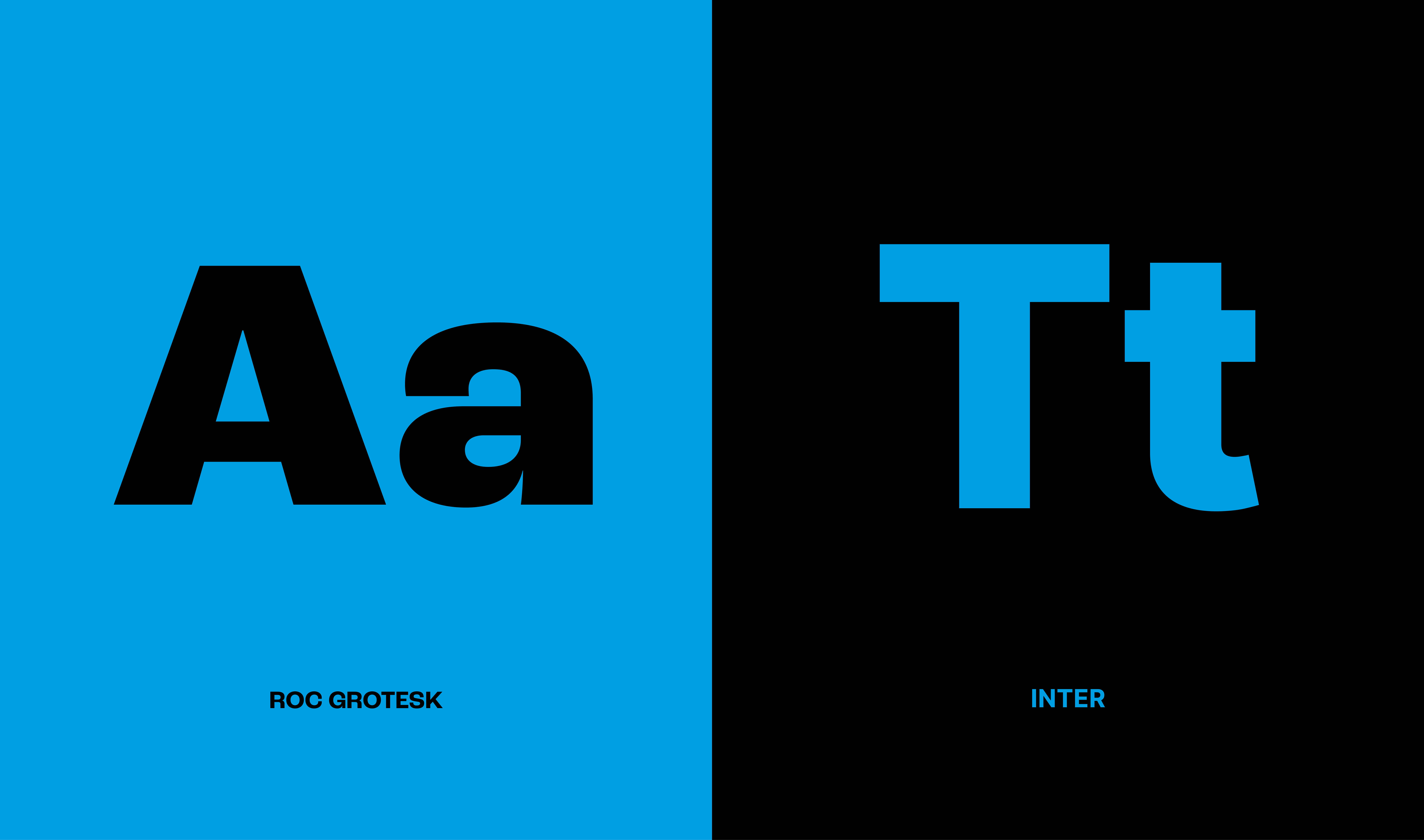 Fonts