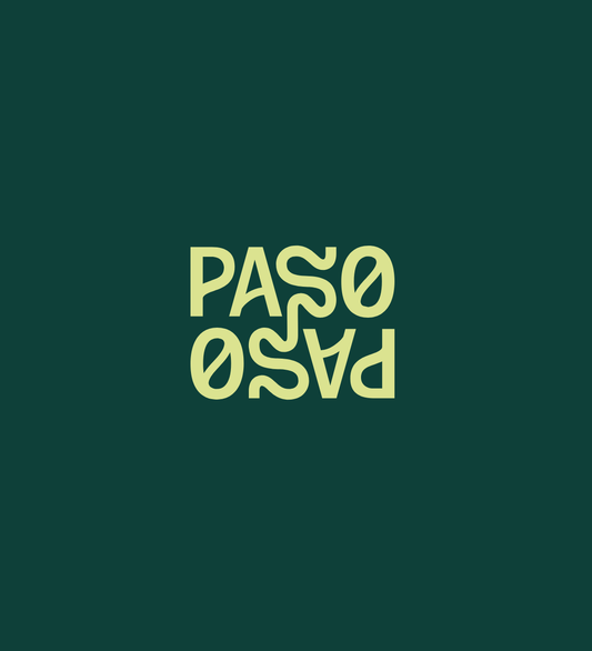 logo Paso Paso